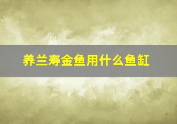 养兰寿金鱼用什么鱼缸