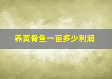 养黄骨鱼一亩多少利润