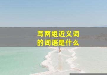 写两组近义词的词语是什么