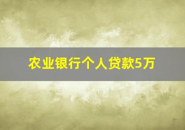 农业银行个人贷款5万