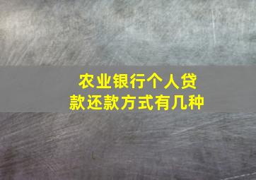 农业银行个人贷款还款方式有几种