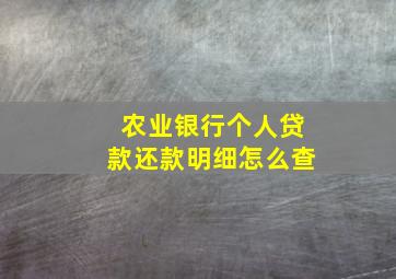 农业银行个人贷款还款明细怎么查