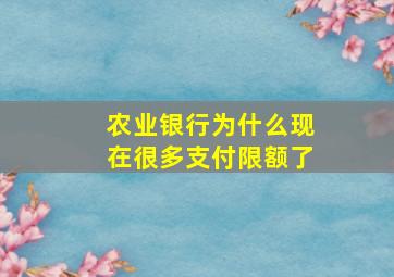 农业银行为什么现在很多支付限额了