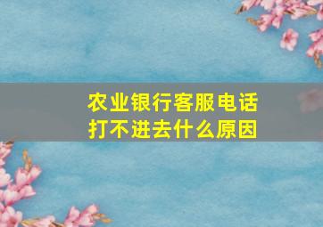 农业银行客服电话打不进去什么原因