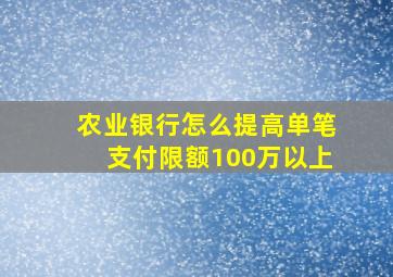 农业银行怎么提高单笔支付限额100万以上