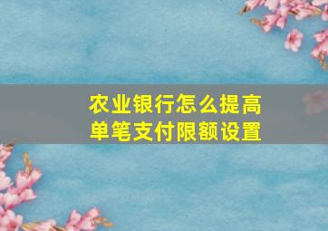 农业银行怎么提高单笔支付限额设置