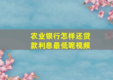 农业银行怎样还贷款利息最低呢视频