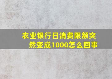 农业银行日消费限额突然变成1000怎么回事