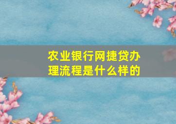 农业银行网捷贷办理流程是什么样的