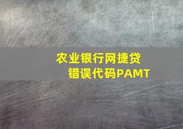 农业银行网捷贷错误代码PAMT