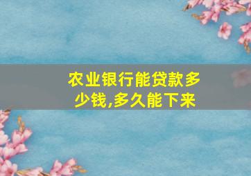 农业银行能贷款多少钱,多久能下来