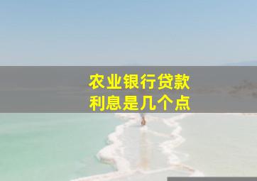 农业银行贷款利息是几个点