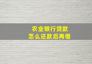 农业银行贷款怎么还款后再借