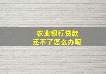 农业银行贷款还不了怎么办呢