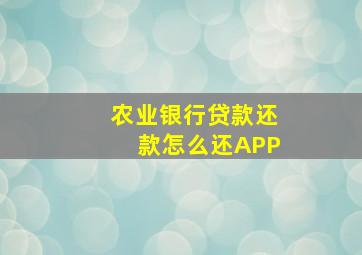 农业银行贷款还款怎么还APP