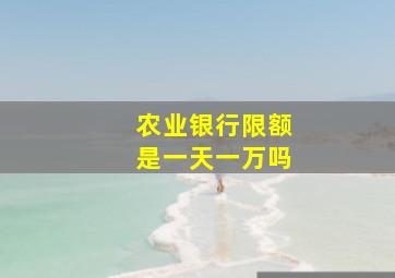 农业银行限额是一天一万吗