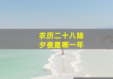 农历二十八除夕夜是哪一年