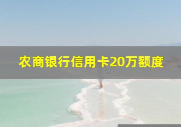 农商银行信用卡20万额度