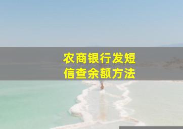 农商银行发短信查余额方法