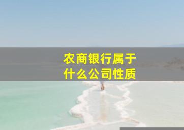 农商银行属于什么公司性质