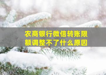 农商银行微信转账限额调整不了什么原因