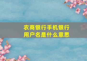 农商银行手机银行用户名是什么意思