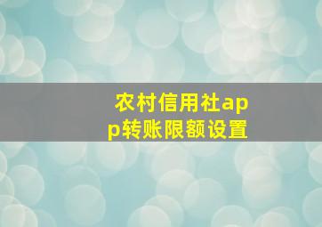 农村信用社app转账限额设置