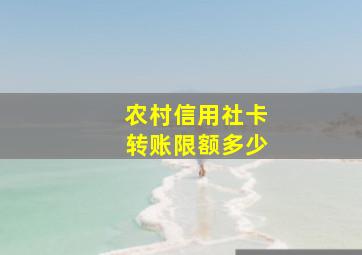 农村信用社卡转账限额多少