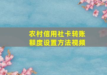 农村信用社卡转账额度设置方法视频