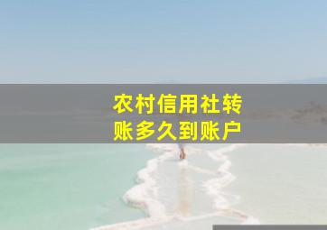 农村信用社转账多久到账户