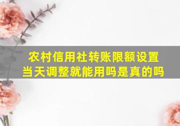 农村信用社转账限额设置当天调整就能用吗是真的吗