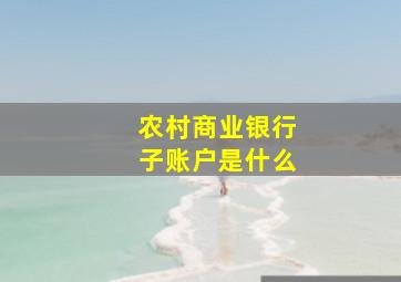 农村商业银行子账户是什么