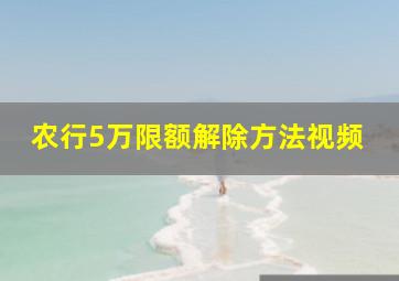 农行5万限额解除方法视频