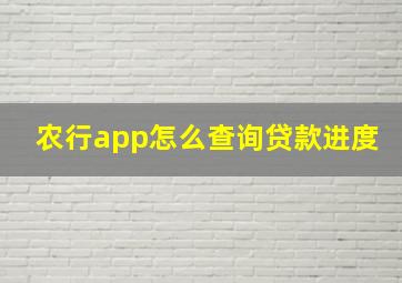 农行app怎么查询贷款进度