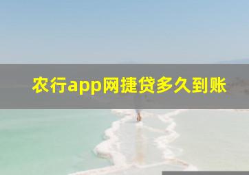 农行app网捷贷多久到账