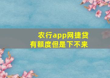 农行app网捷贷有额度但是下不来