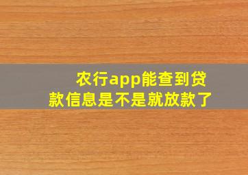 农行app能查到贷款信息是不是就放款了