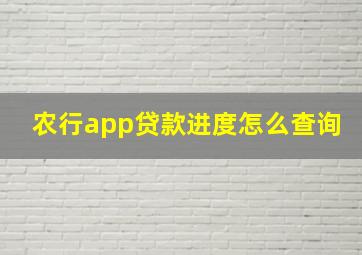 农行app贷款进度怎么查询