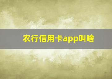 农行信用卡app叫啥