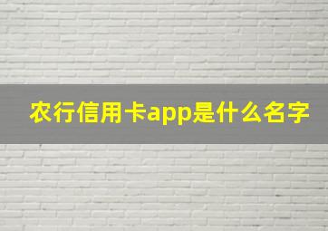 农行信用卡app是什么名字