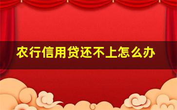 农行信用贷还不上怎么办