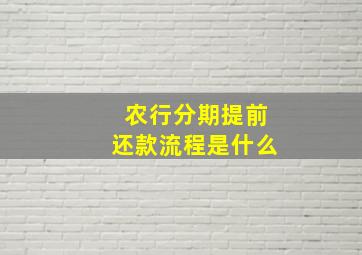 农行分期提前还款流程是什么