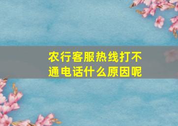 农行客服热线打不通电话什么原因呢