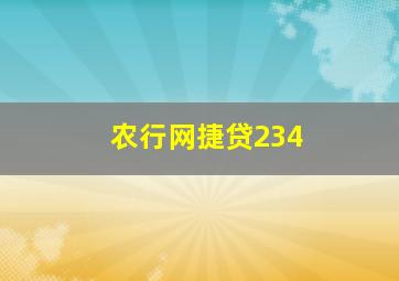 农行网捷贷234