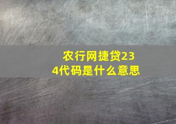 农行网捷贷234代码是什么意思