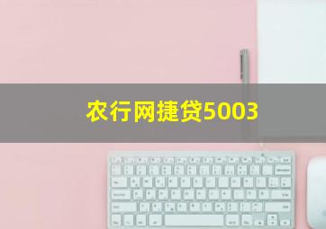 农行网捷贷5003