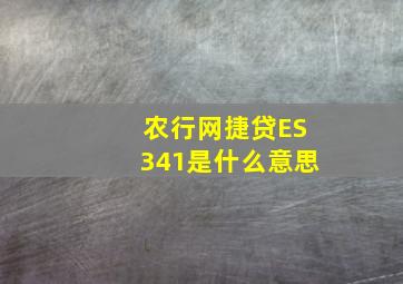 农行网捷贷ES341是什么意思