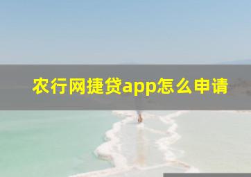 农行网捷贷app怎么申请