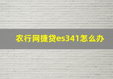 农行网捷贷es341怎么办