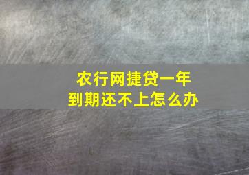 农行网捷贷一年到期还不上怎么办